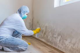 Best Asbestos and Lead Testing During Mold Inspection  in Lyons, OR