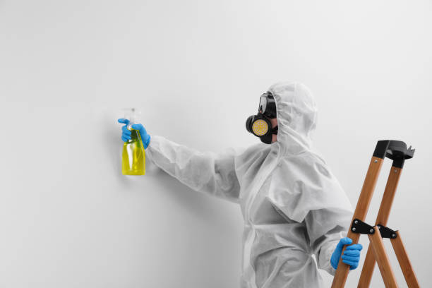 Best Emergency Mold Remediation  in Lyons, OR